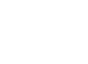 Logo Werkschau weiß